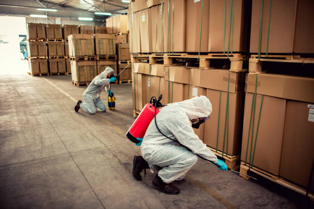 Best Local Pest Control Services  in Clinton, NC