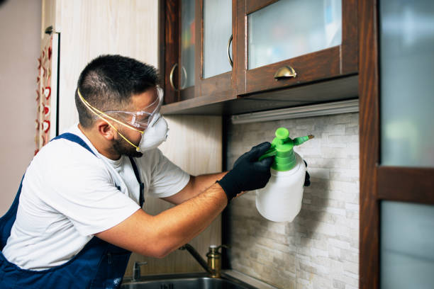 Best Affordable Pest Control Services  in Clinton, NC