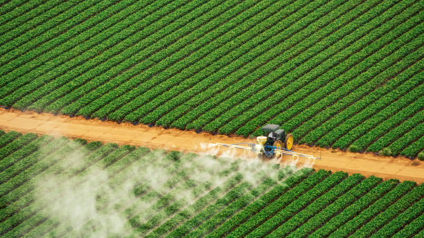 Best Ant Control Services  in Clinton, NC