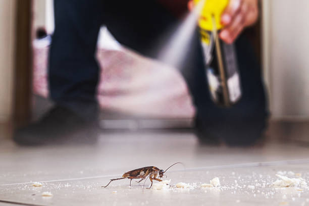 Best Residential Pest Control  in Clinton, NC