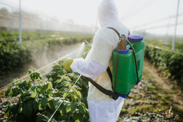 Professional Pest Control in Clinton, NC